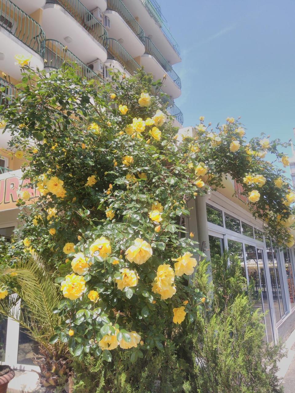Hotel Yantra Slantchev Briag Extérieur photo